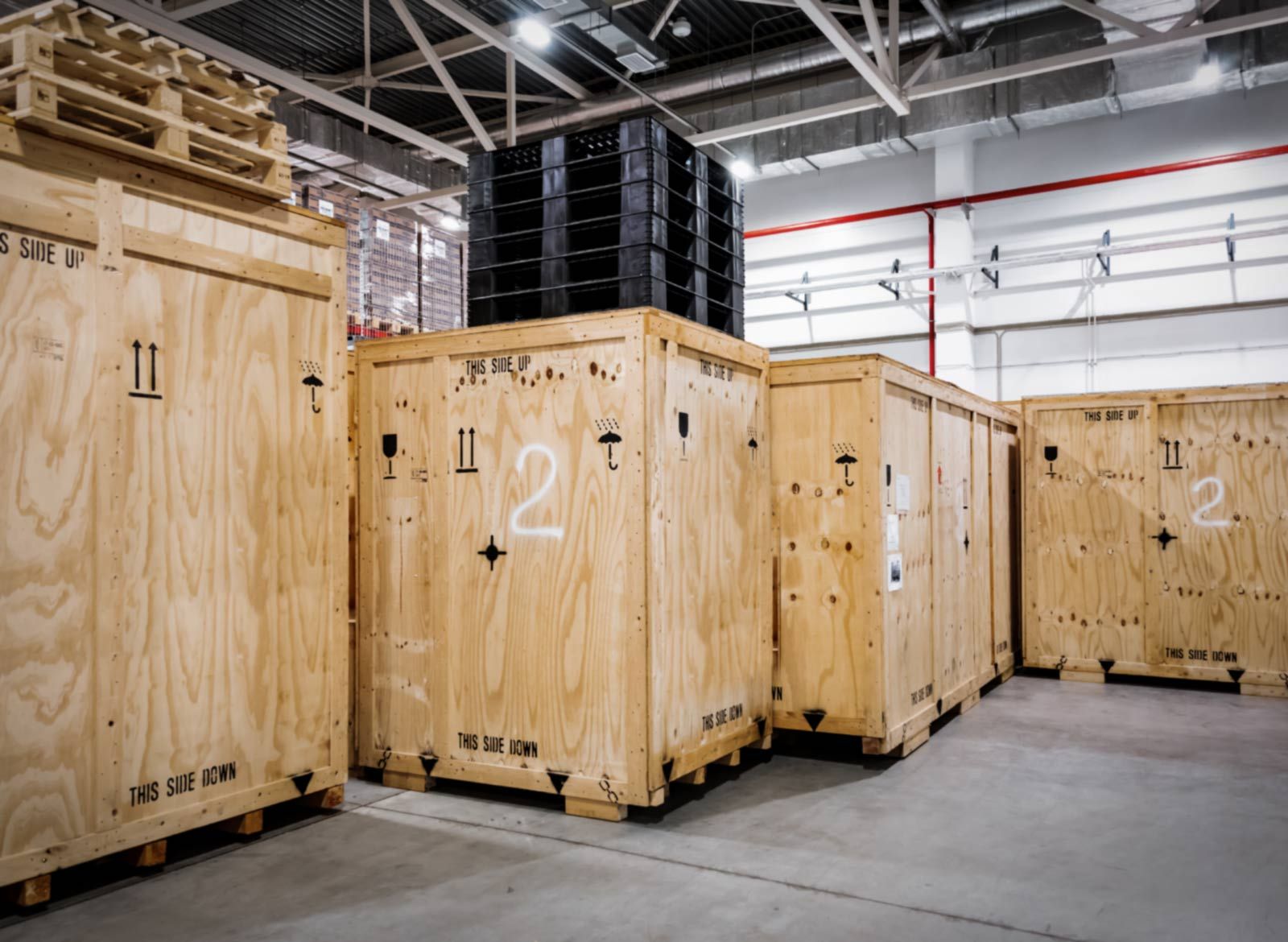 immagine di rifiuti a cielo aperto con gabbiani che volano